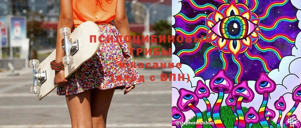 метадон Алексин
