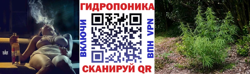 Канабис MAZAR  блэк спрут ссылка  Болхов 